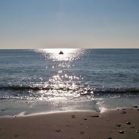 Indigo * Εστεπόνα